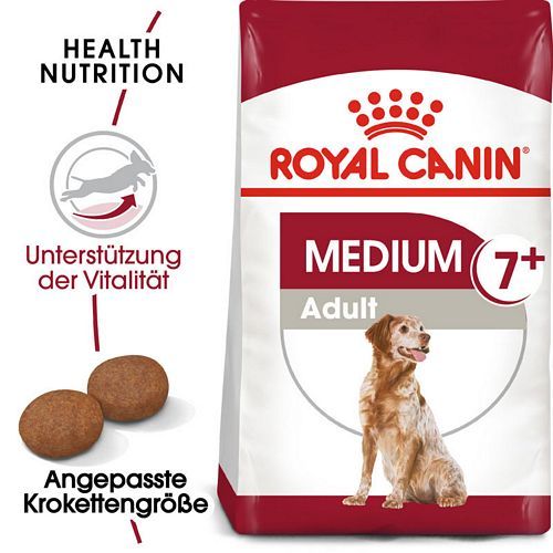 Vorhautentzündung beim Hund – Behandlung und Prophylaxe